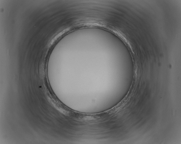 X0000081620390200701151100