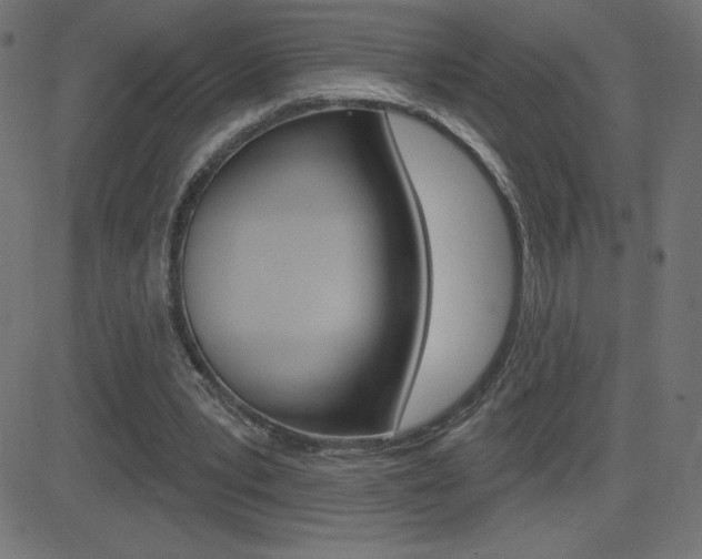 X0000081620391200701151100