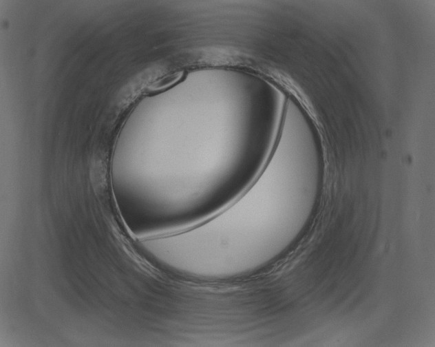 X0000081620393200701151100