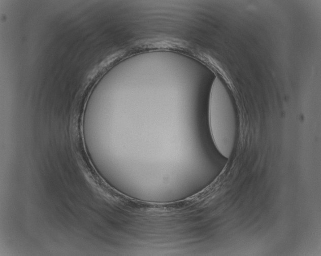 X0000081620394200701151100