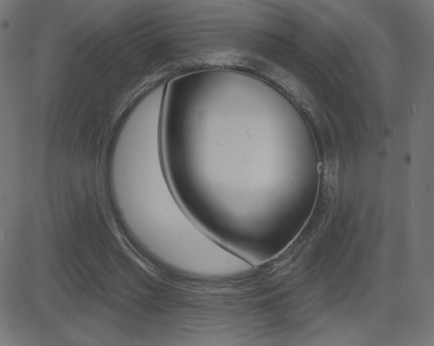X0000081620397200701151100