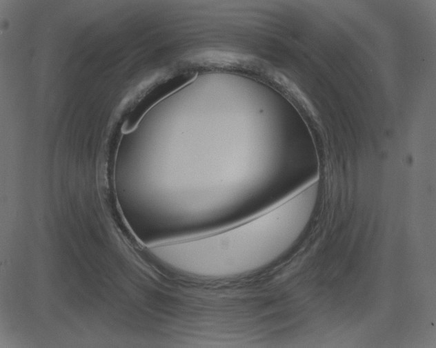 X0000081620399200701151100