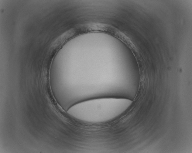 X0000081620402200701151100