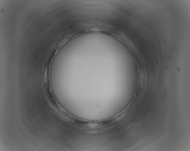 X0000081620406200701151100