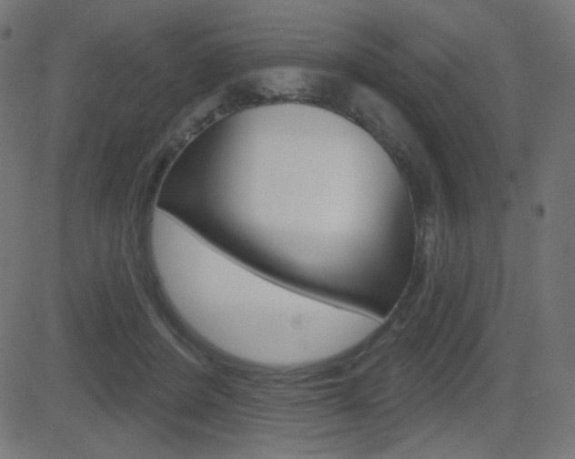 X0000081620408200701151100