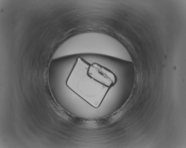 X0000081620409200701151100