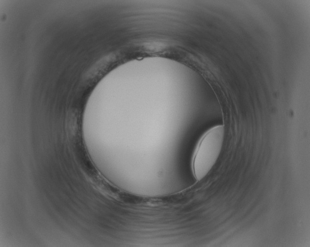 X0000081620412200701151100