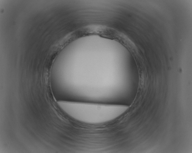 X0000081620413200701151100