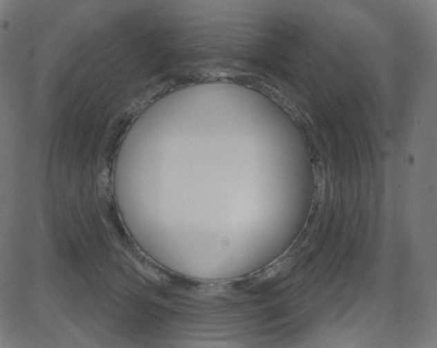 X0000081620418200701151059