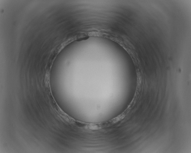X0000081620419200701151059