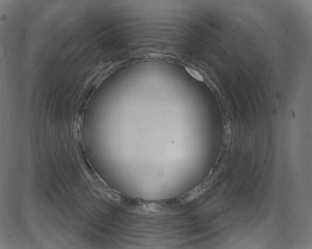 X0000081620423200701151059