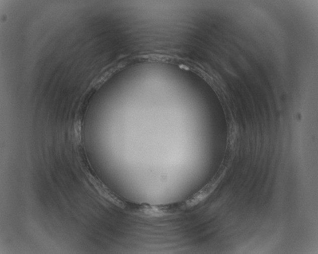 X0000081620425200701151059