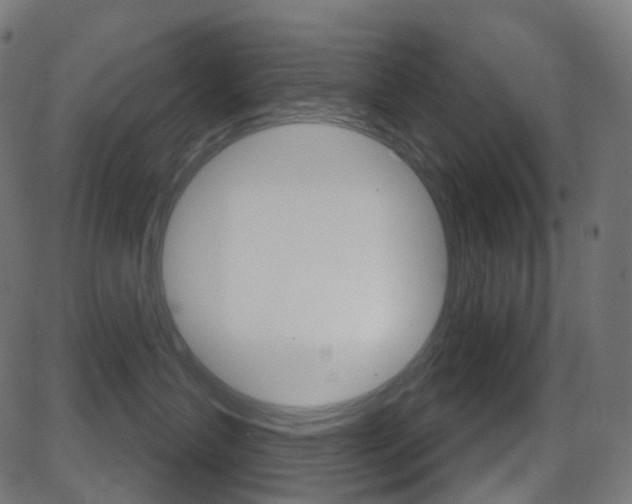 X0000081620431200701151059