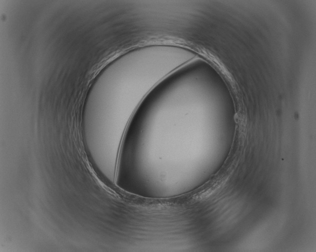 X0000081620433200701151058