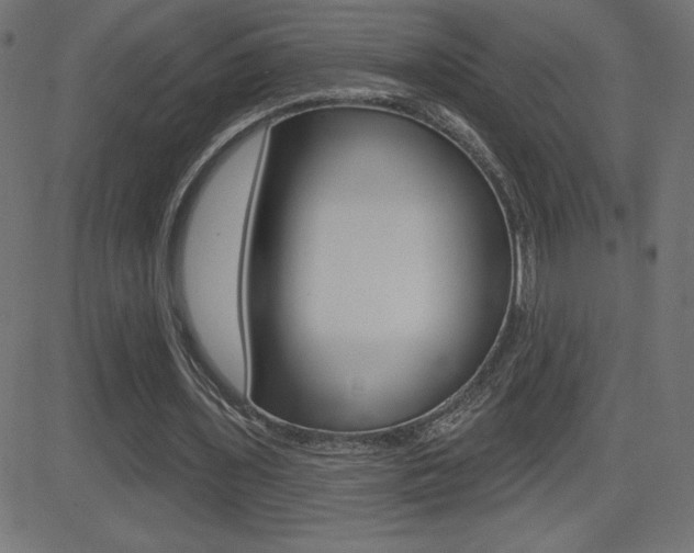X0000081620435200701151058