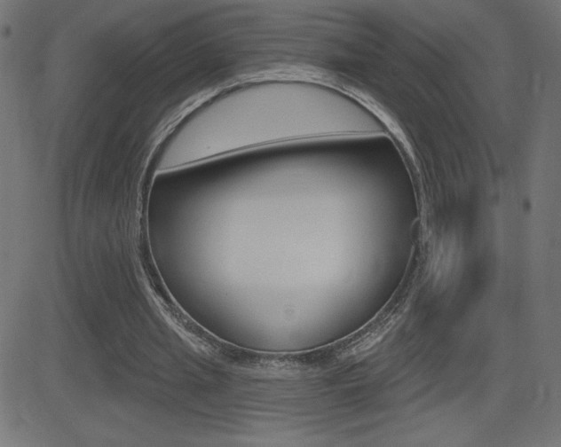 X0000081620437200701151059