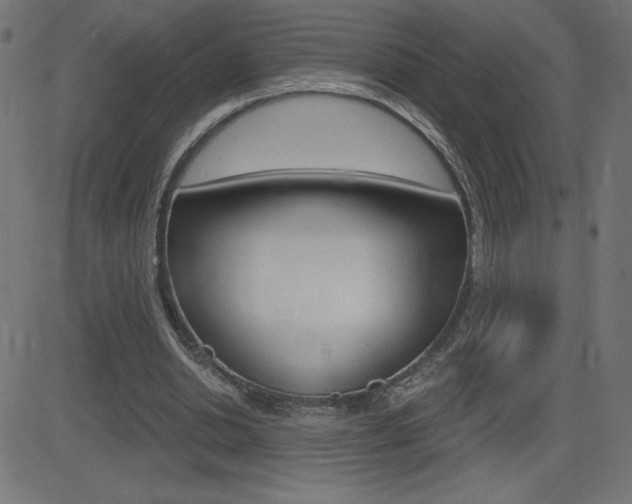 X0000081620438200701151059