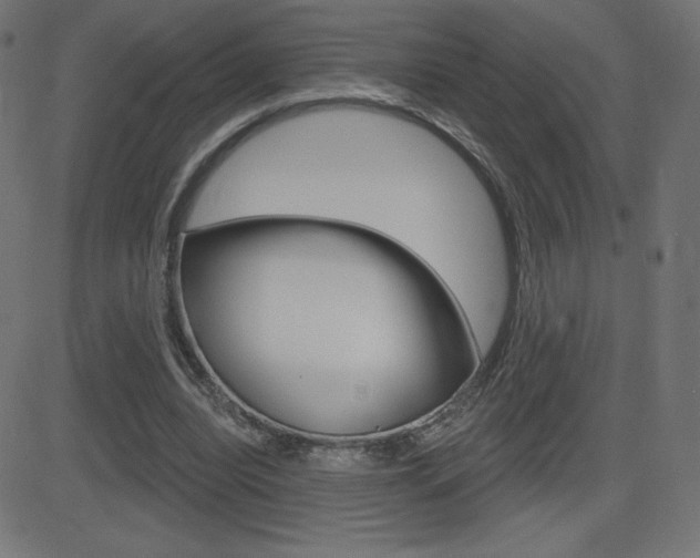 X0000081620440200701151059