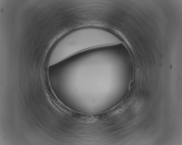 X0000081620443200701151059