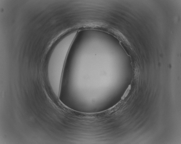X0000081620444200701151059