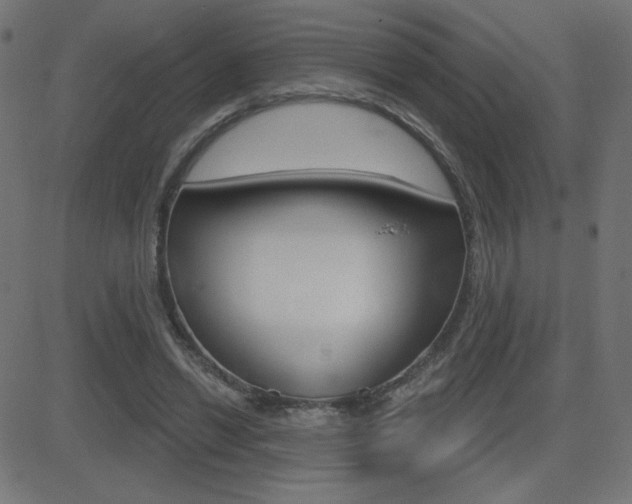 X0000081620446200701151059