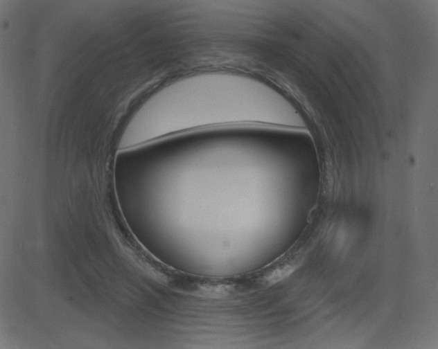 X0000081620450200701151059