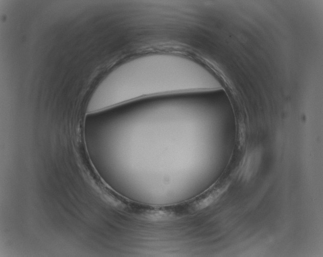 X0000081620453200701151059