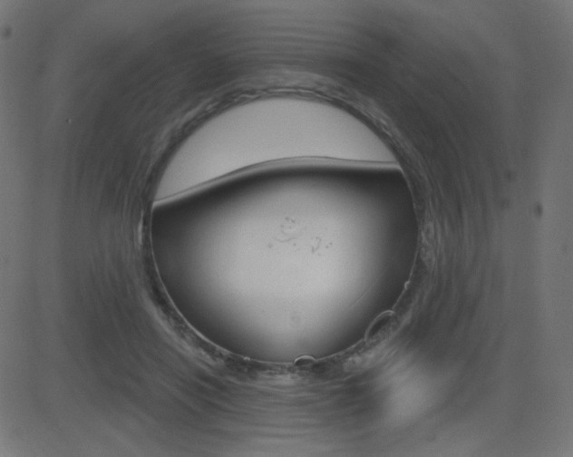 X0000081620454200701151059