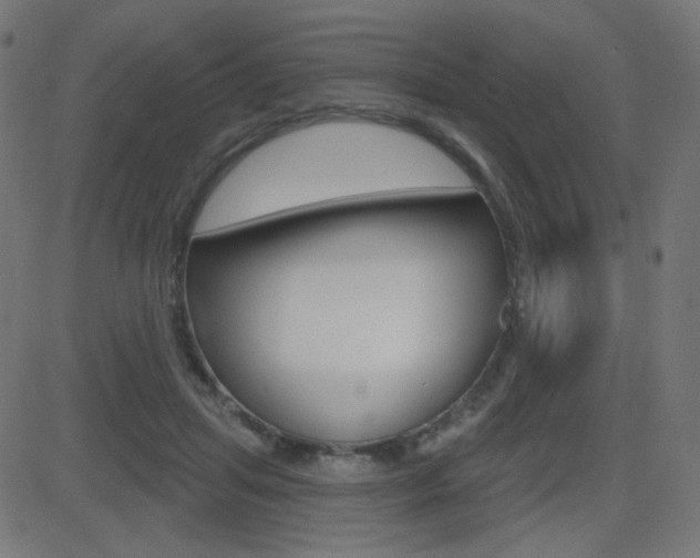 X0000081620455200701151059