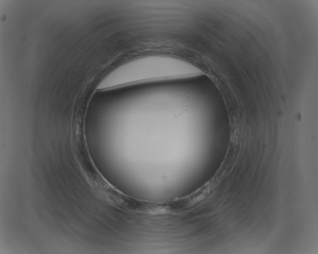 X0000081620456200701151059