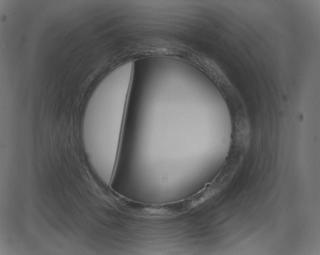 X0000081620457200701151059