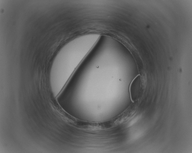 X0000081620458200701151059