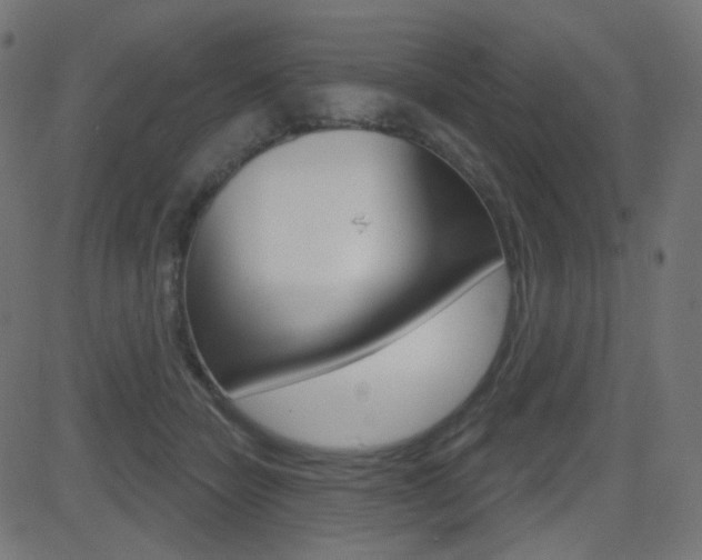 X0000081620462200701151059