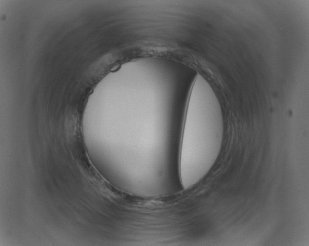 X0000081620463200701151059