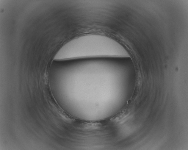 X0000081620465200701151059