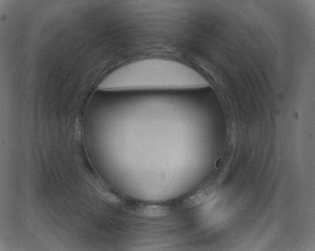 X0000081620467200701151059