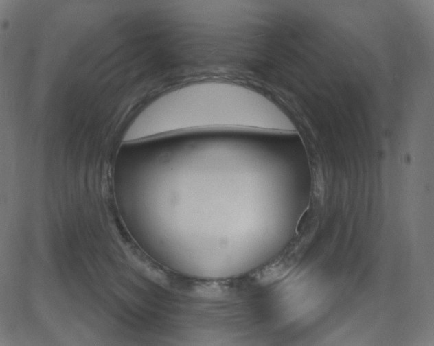 X0000081620470200701151059