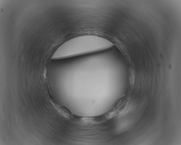 X0000081620477200701151059