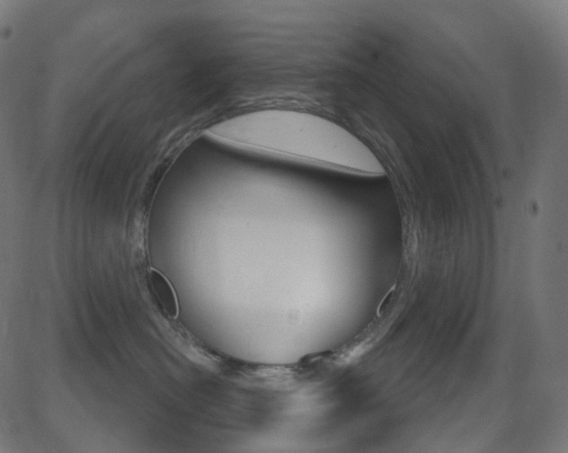 X0000081620478200701151059