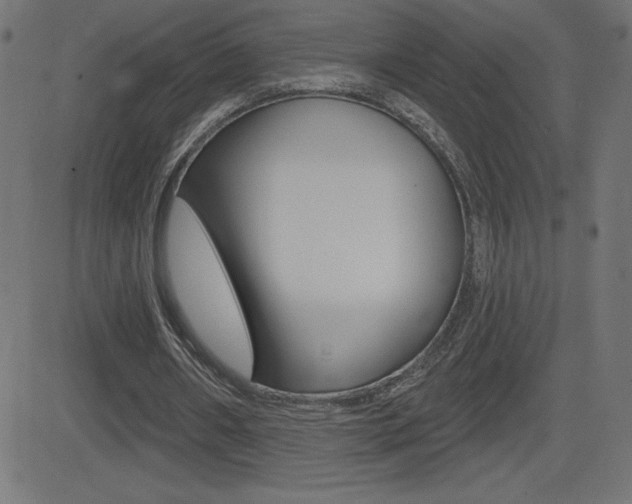 X0000081620482200701151058
