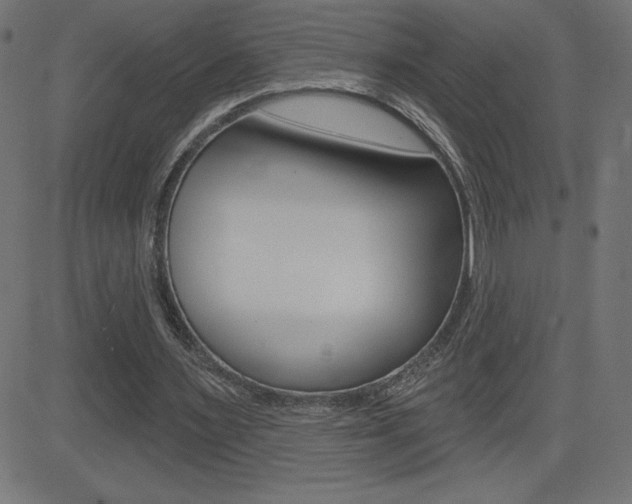 X0000081620483200701151058