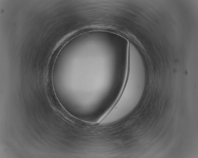 X0000081620484200701151058