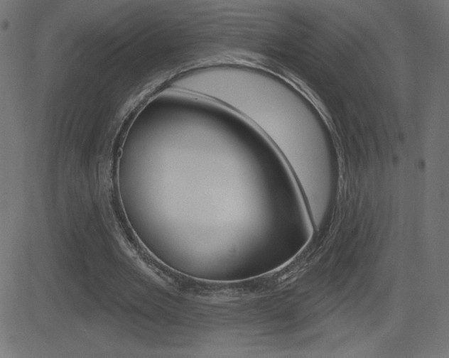 X0000081620485200701151058