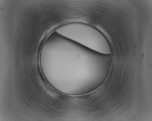 X0000081620486200701151058