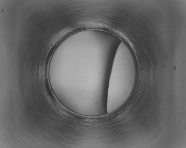 X0000081620487200701151058