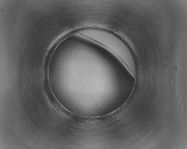 X0000081620488200701151058