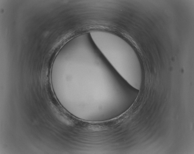 X0000081620490200701151058