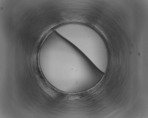 X0000081620491200701151058