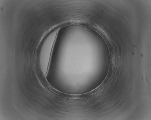 X0000081620492200701151058