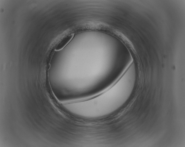 X0000081620493200701151058